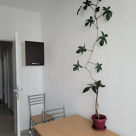 Ema's Spacious Studio Apartment *