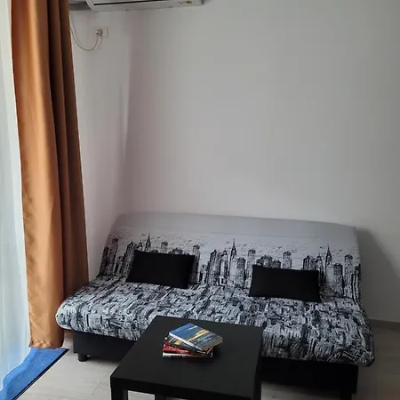 Appartement Ema's Spacious Studio Boekarest